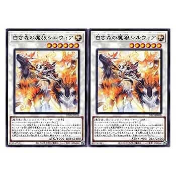 81n6+CM+zqL._UF350,350_QL50_.jpg